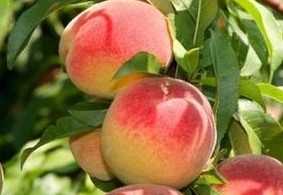 19682e128b535dfea43282188864a465